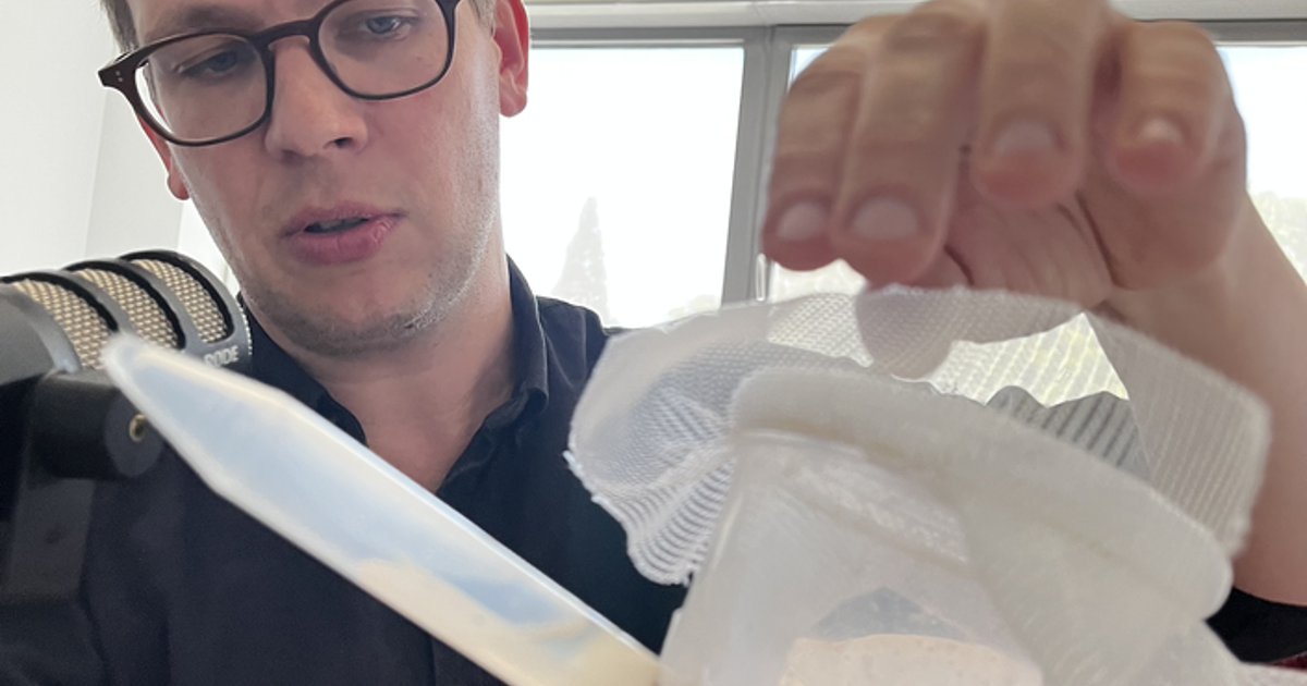 Hvordan overtager svampe insekters adfærd?