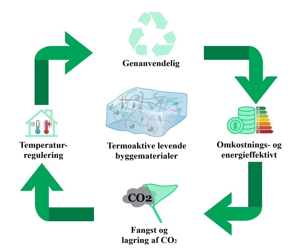 Grafik, der illustrerer processen med at lave bæredygtige cement