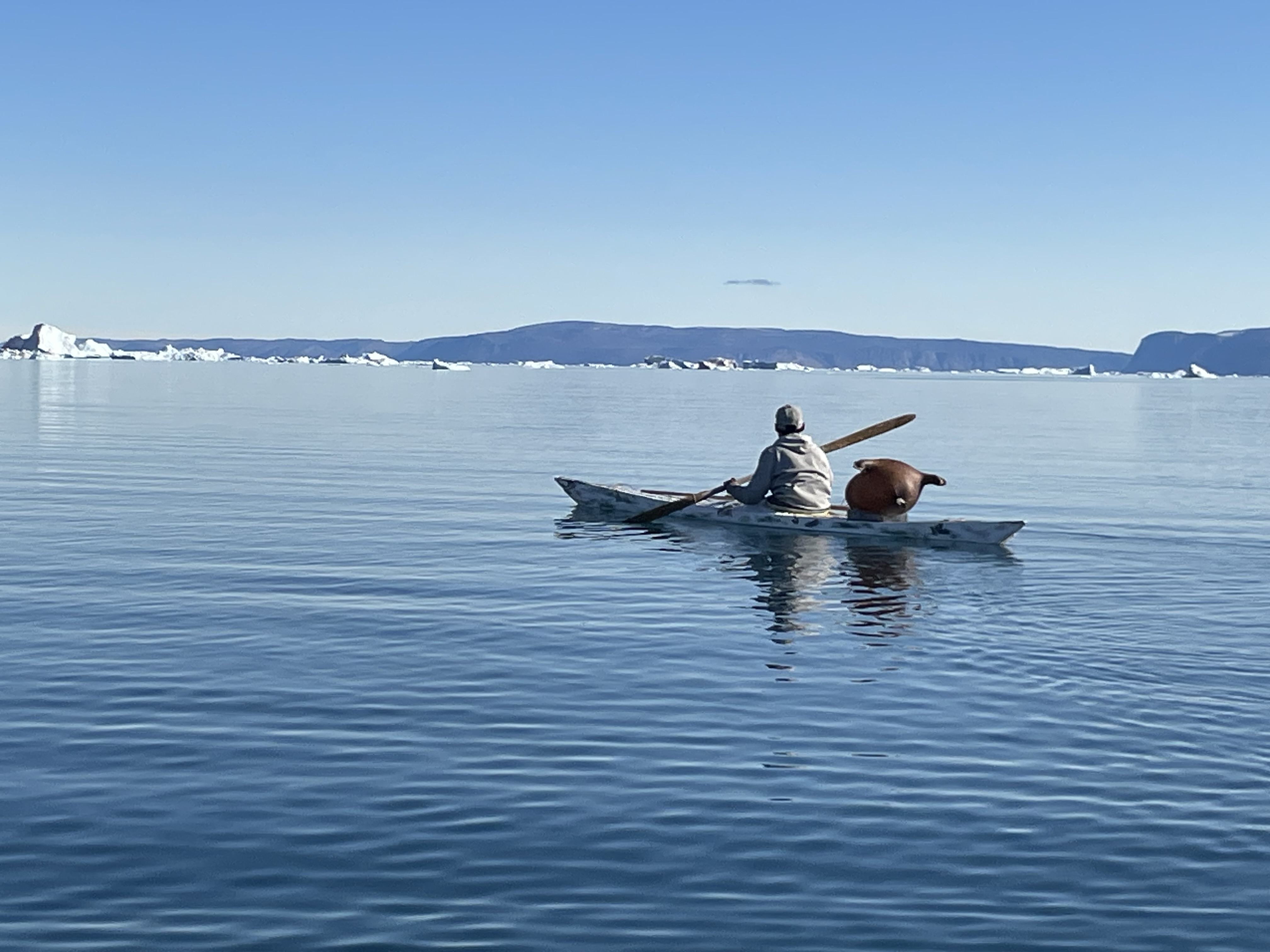 Fangeren Kuutak Simigaq er en af forskernes samarbejdspartnere. Her er han i sin kajak, efter at han har spottet en hval. Foto: Mari Kleist
